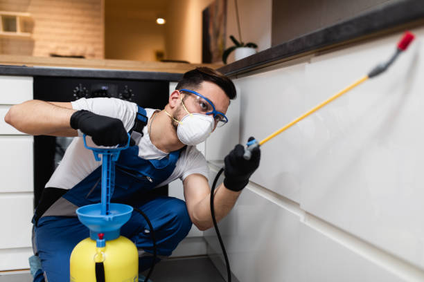Best Affordable Pest Control Services  in Hot Springs Village, AR