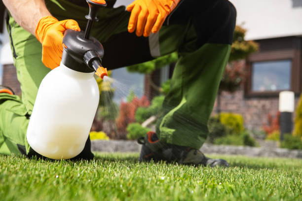 Best Pest Removal Services  in Hot Springs Village, AR