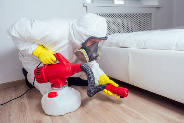 Wasp Removal Services in Hot Springs Village, AR