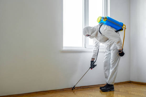 Best Pest Prevention Services  in Hot Springs Village, AR