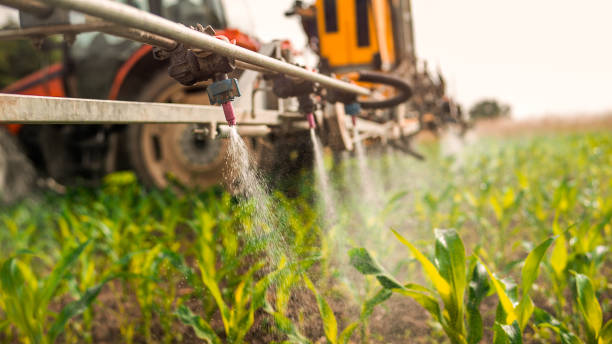 Best Mosquito Control Services  in Hot Springs Village, AR
