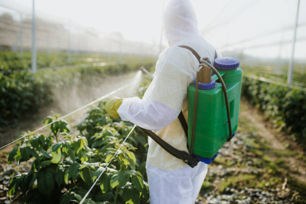 Best Bed Bug Extermination  in Hot Springs Village, AR